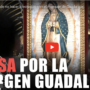 En el Vaticano, el papa Francisco celebra una misa a la Virgen de Guadalupe